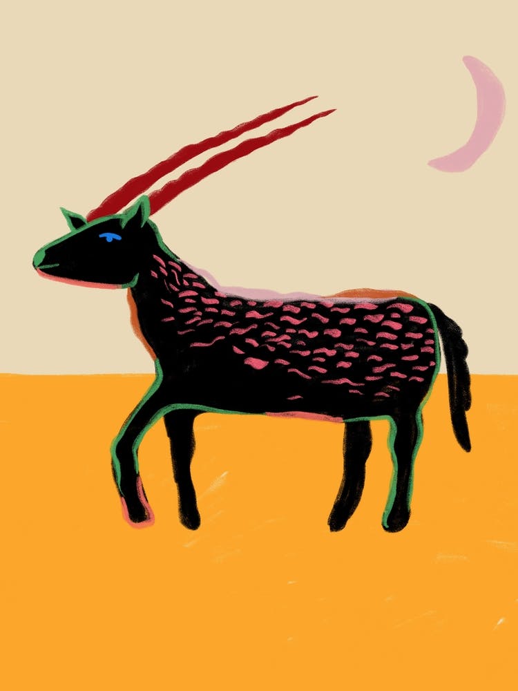 Capricorn
