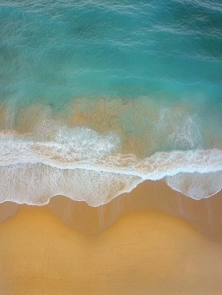 Beach - Beach Stock Videos & Royalty-Free Footage 12