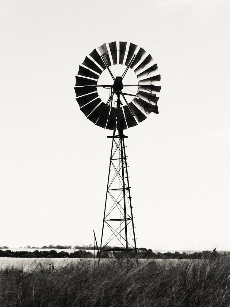 Wheatbelt Windmill