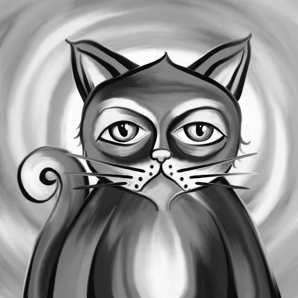 Cat In Black And White