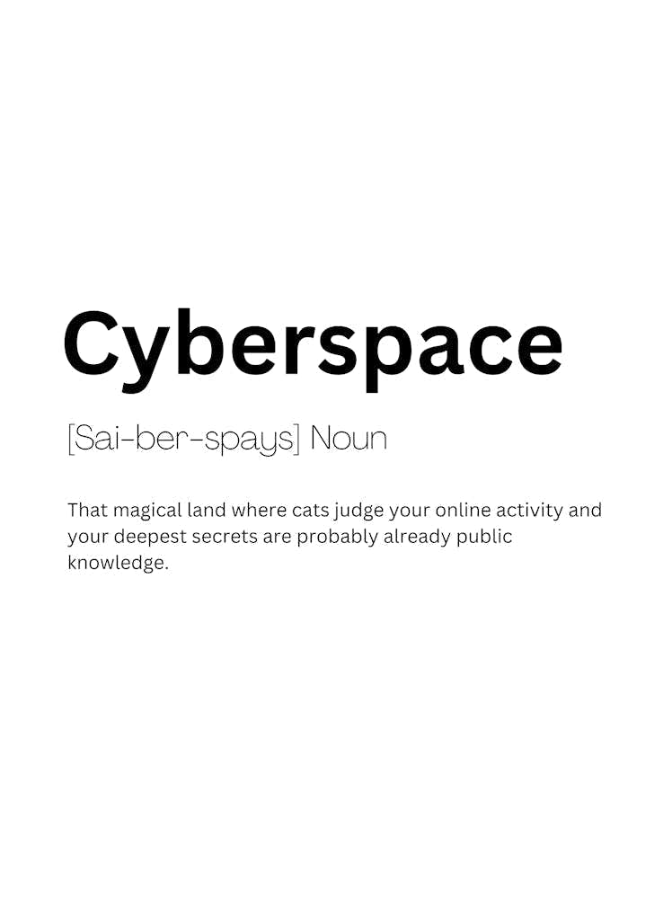 Cyberspace Definition Meaning
