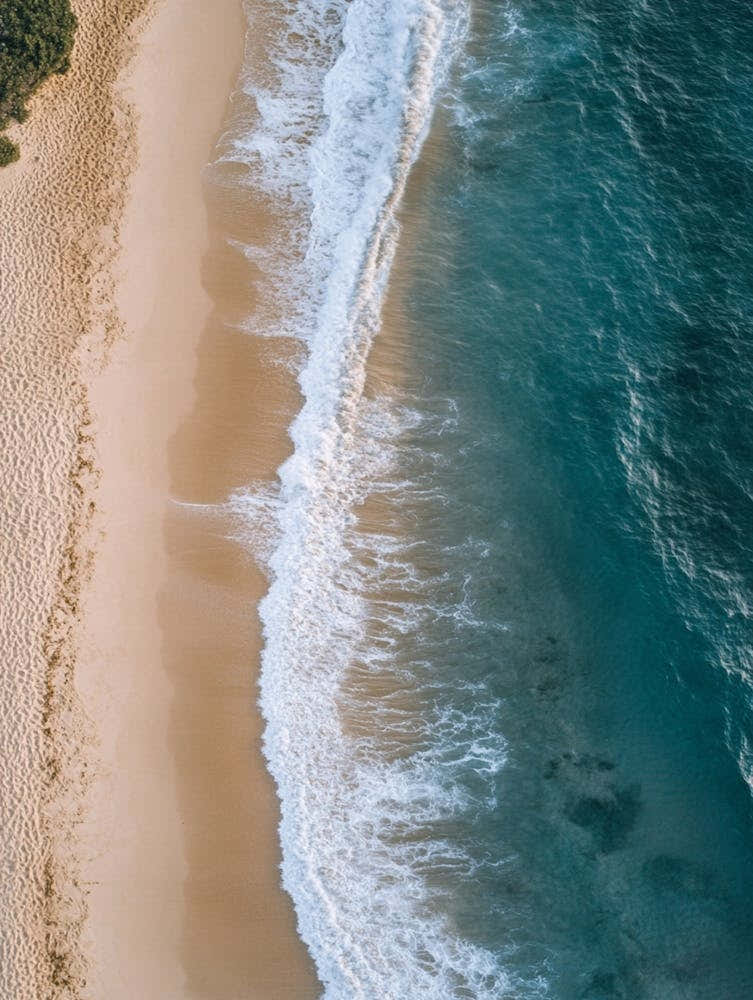 Aerial View Of A Beach 56