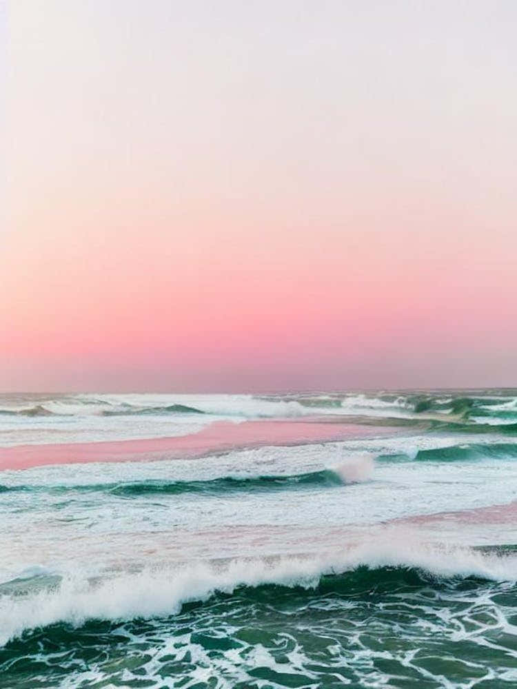 Daytona Beach, Florida Pink Photography 1