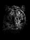 Wild Animal Art Prints