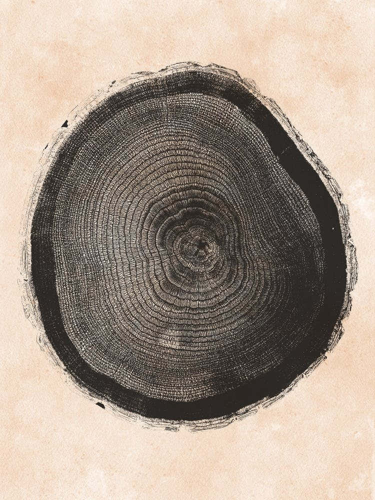 Tree Ring Print