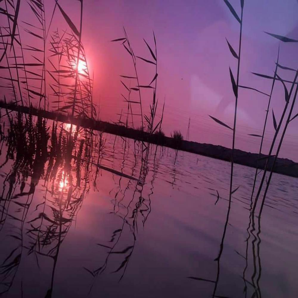 Sunset - Sunset Stock Videos & Royalty-Free Footage