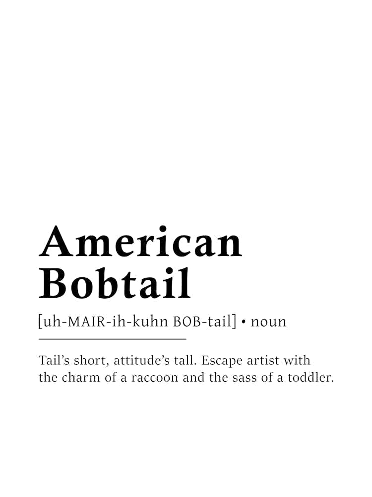 American Bobtail Definition Poster - Dictionary