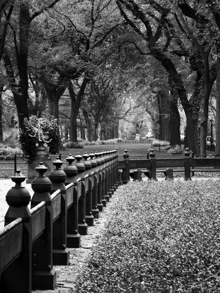 Central Park - New York USA