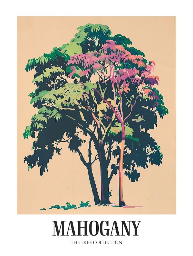 Mahogany Tree Colourful Illustration 3 Poster