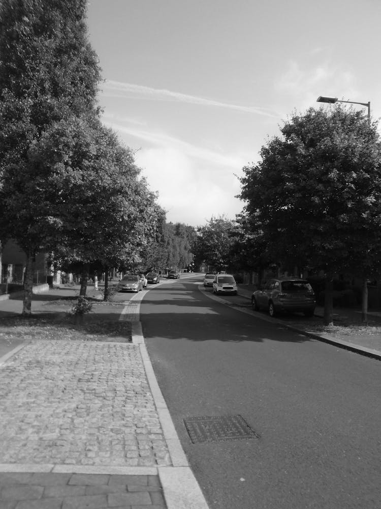 Ketley - Black And White 1