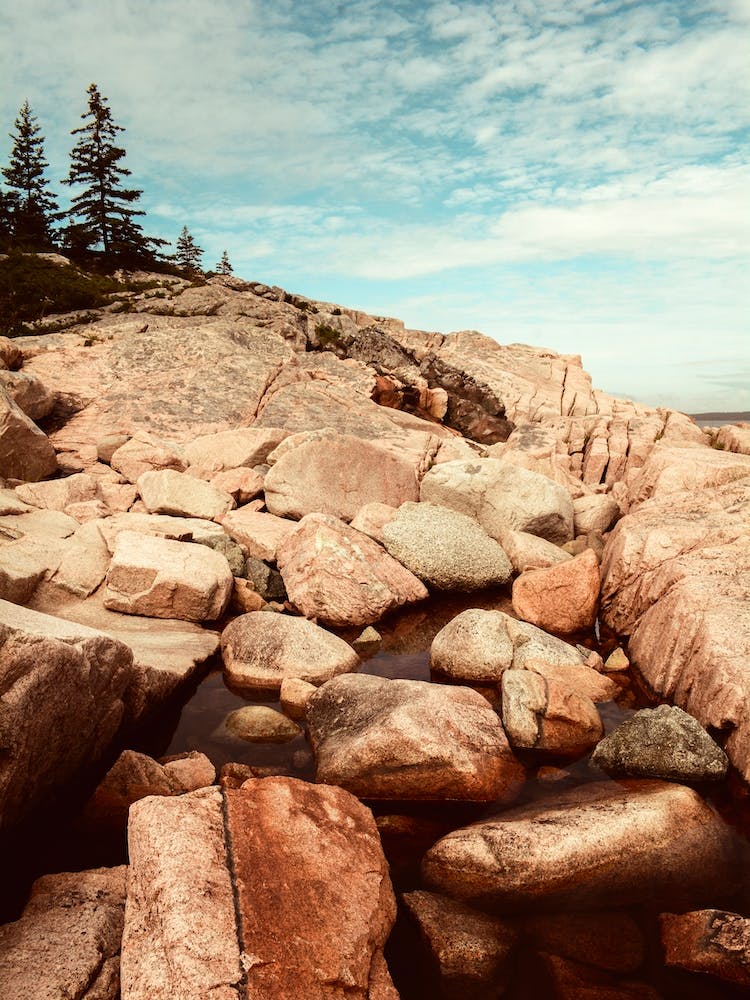 Dreams Of Sea And Sky