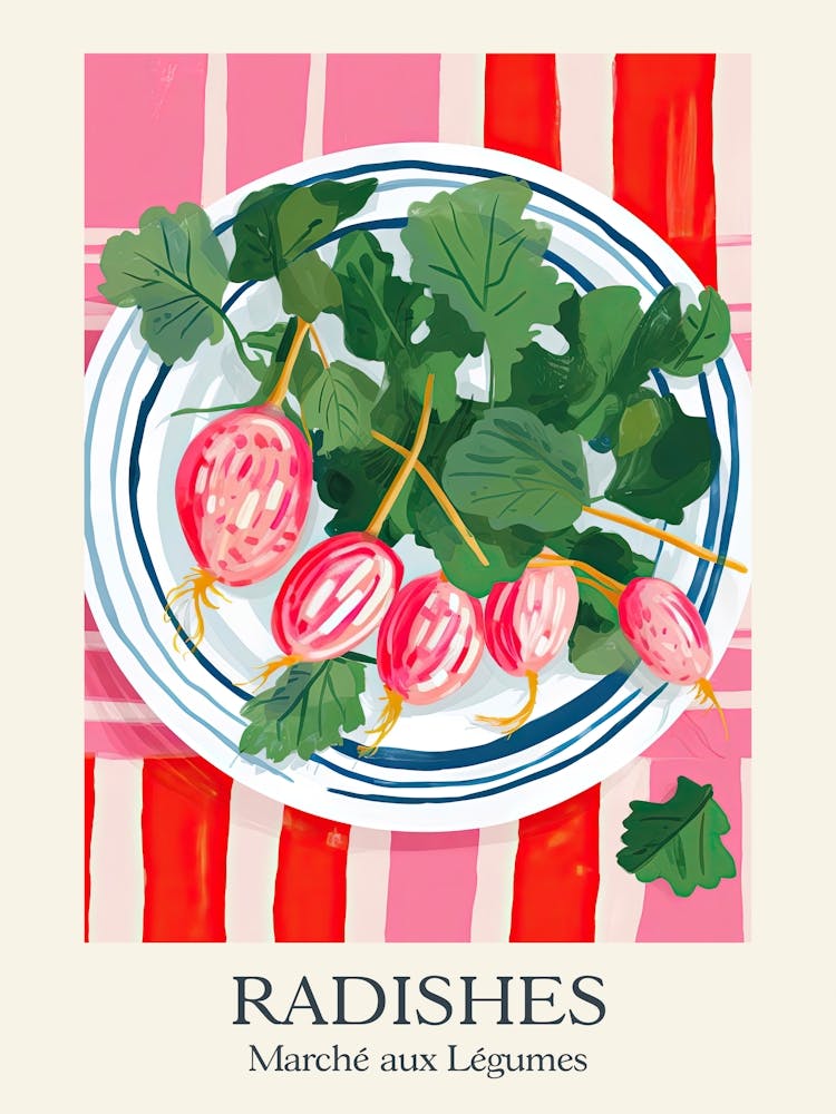 Marche Aux Legumes Radishes Summer Illustration 1
