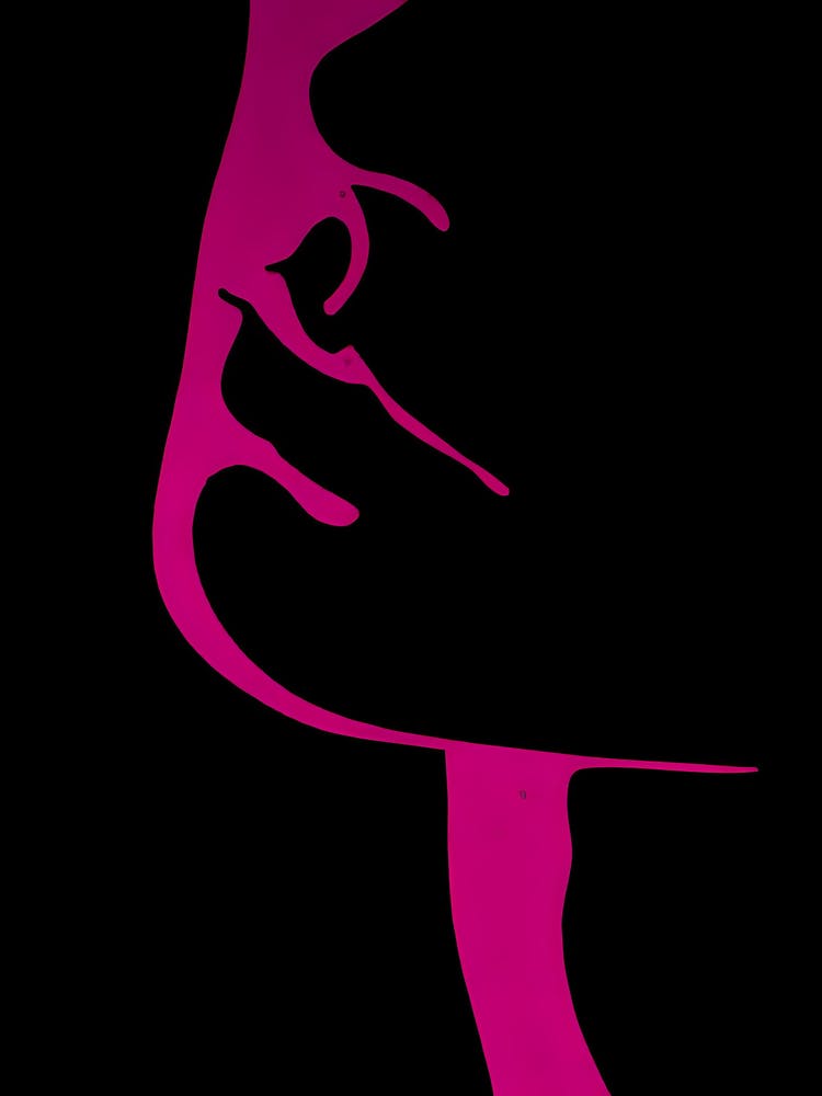 Portrait Of A Woman 5