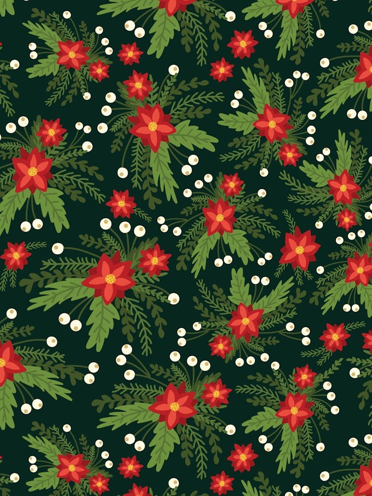 Red Poinsettia Flower Clusters with White Berries on Black