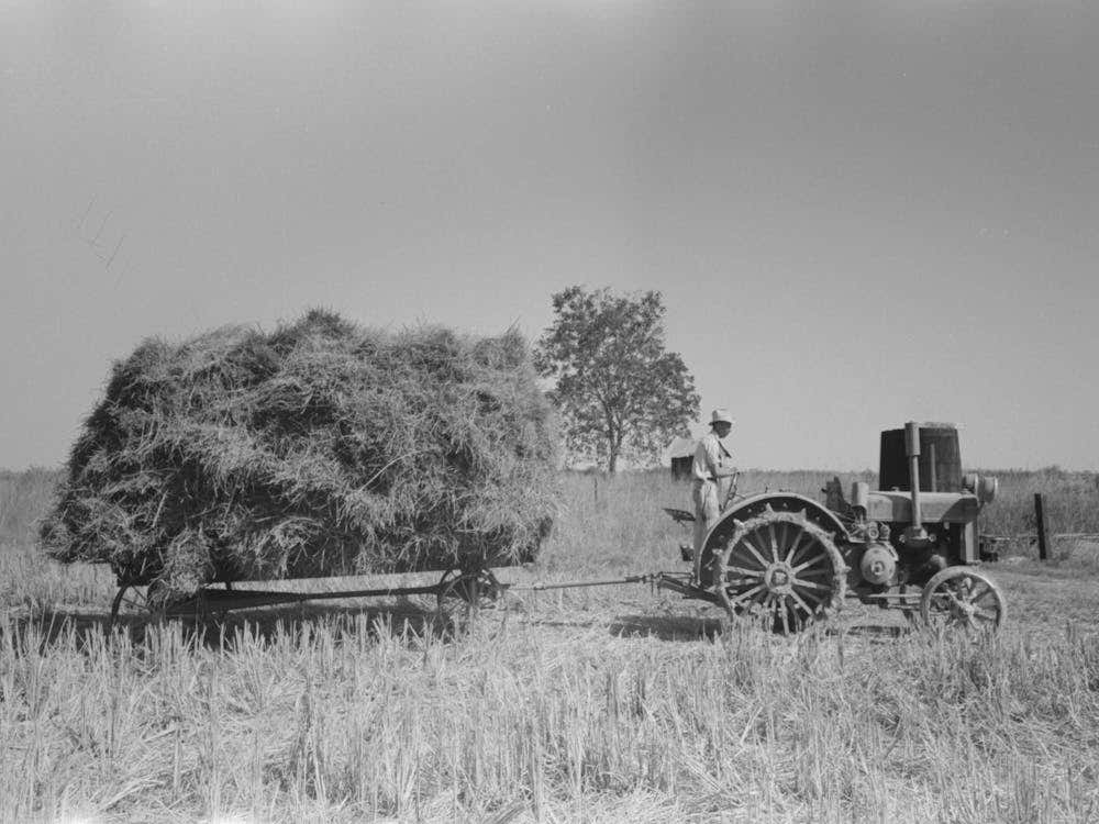 Latest Method Of Transporting Rice From The Field To Thresher, Near Crowley, Louisiana By Russell Lee