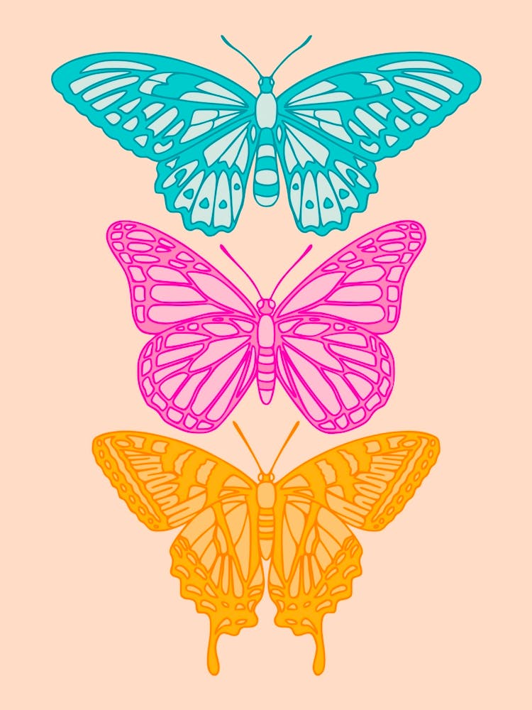 Colorful Butterflies