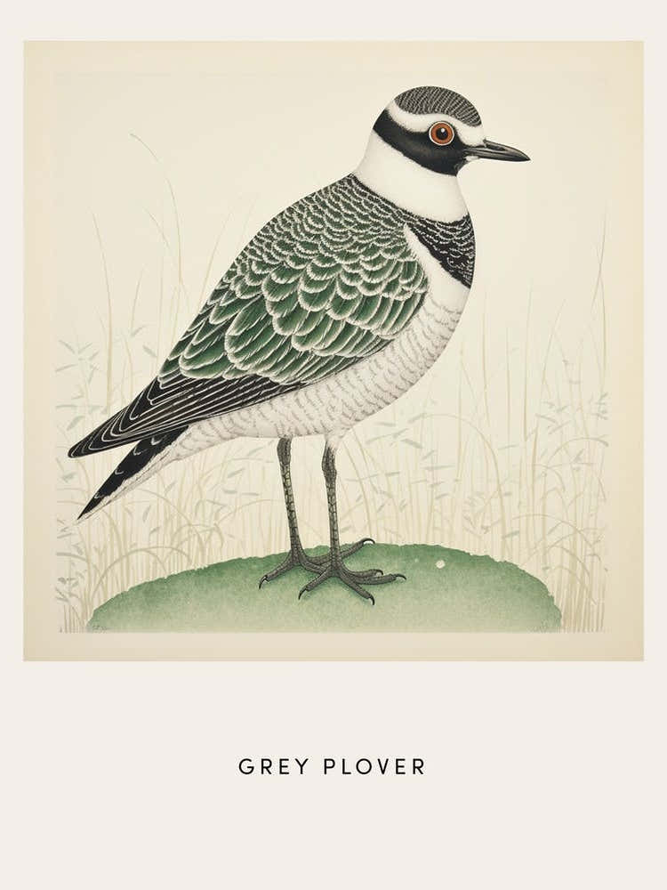 Ohara Koson Inspired Bird Painting Grey Plover 2 Poster