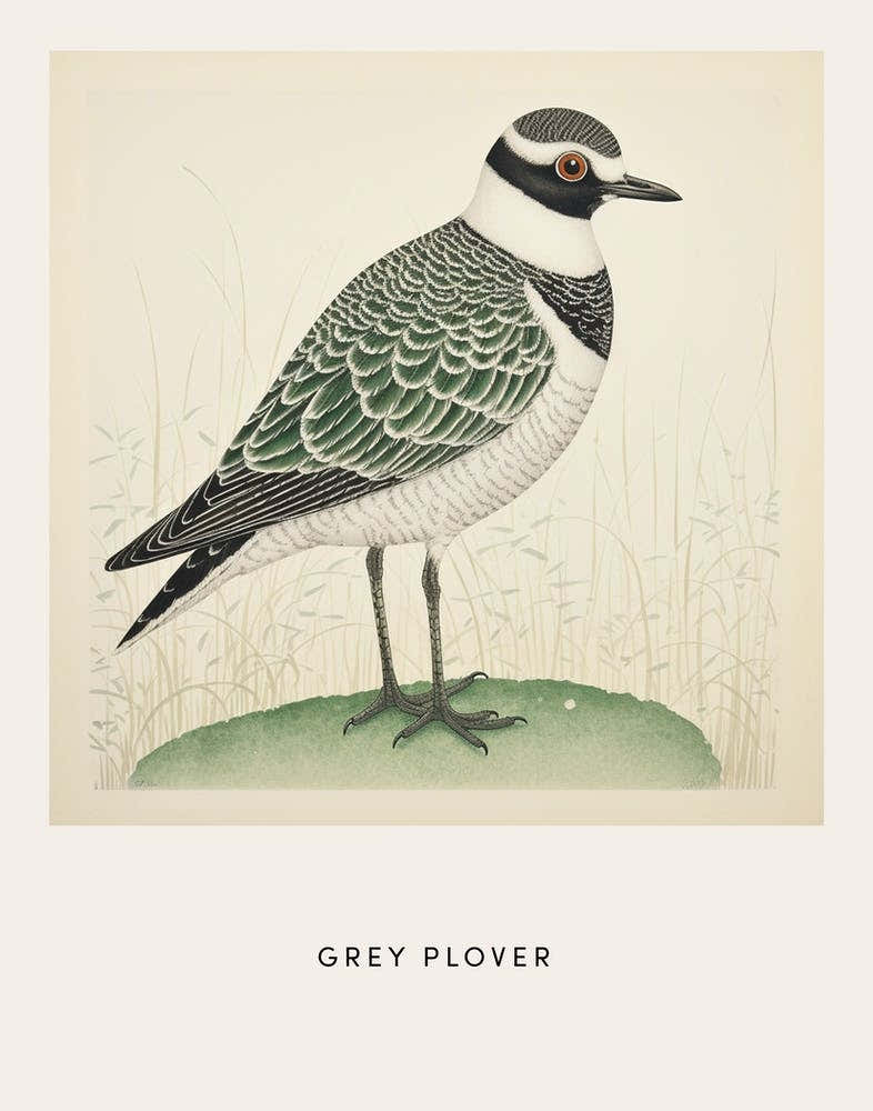 Ohara Koson Inspired Bird Painting Grey Plover 2 Poster