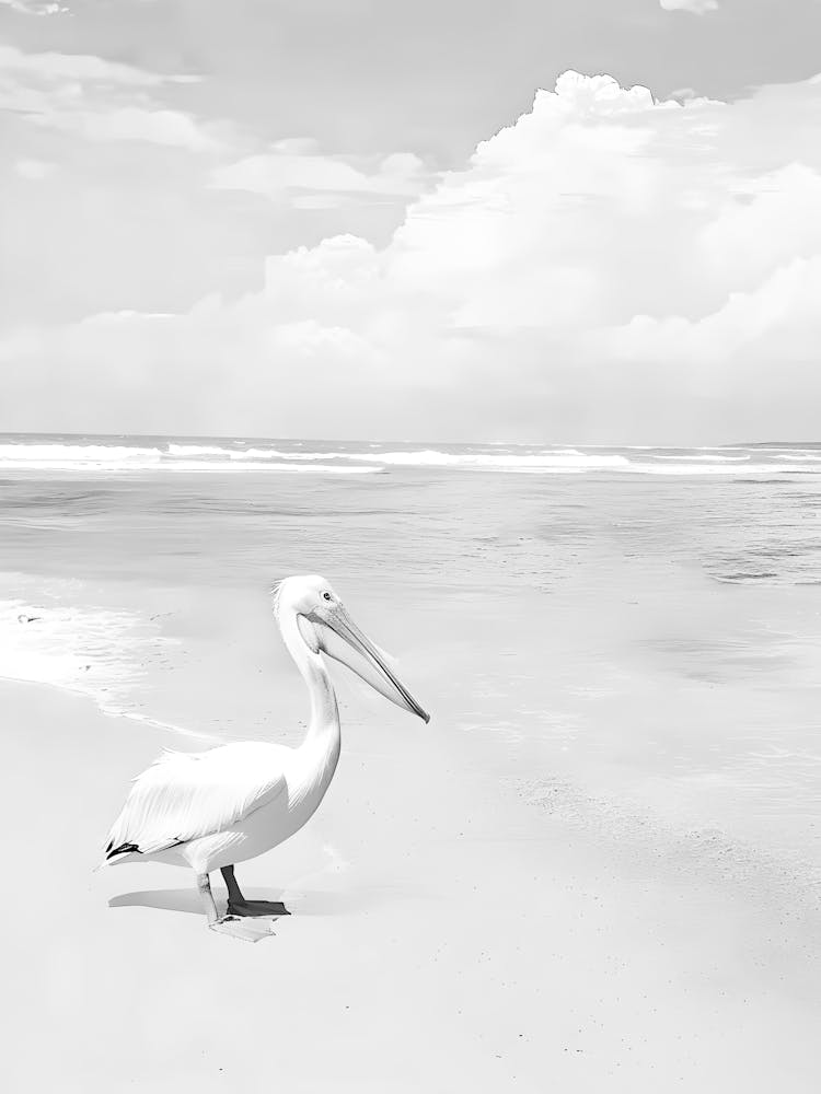 Pelican On The Beach