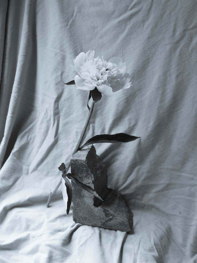 Vintage Flower Still Life