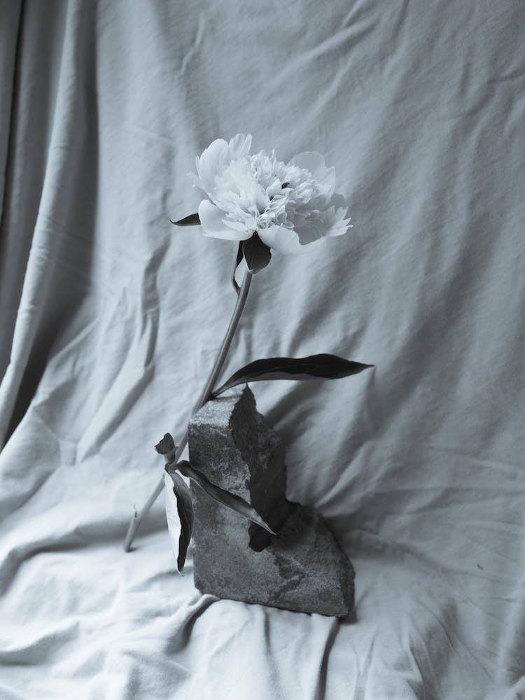 Vintage Flower Still Life
