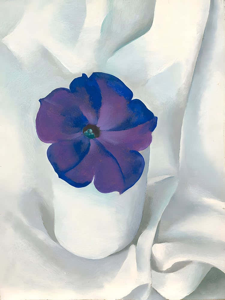 Georgia O'Keeffe - Petunia, 1925