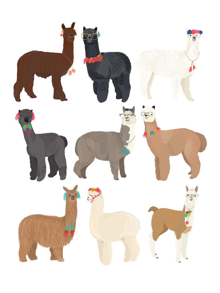 Standing Llamas In Glasses