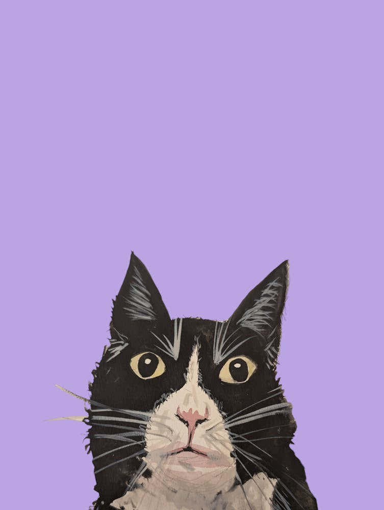 Annoyed Black Cat Watercolour Illustration