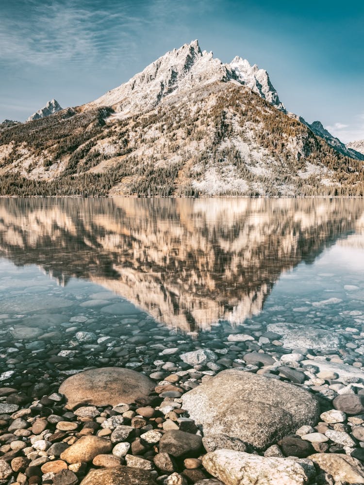 Summer At The Lake - Grand Tetons