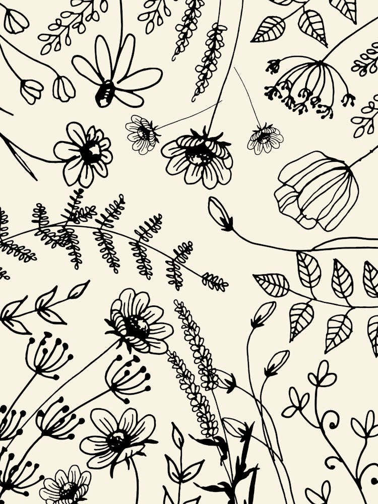 Hand Drawn Flowers