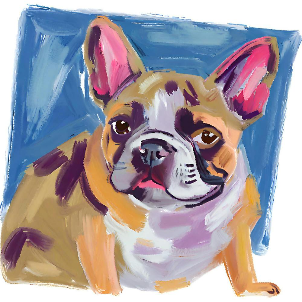 French Bulldog 03
