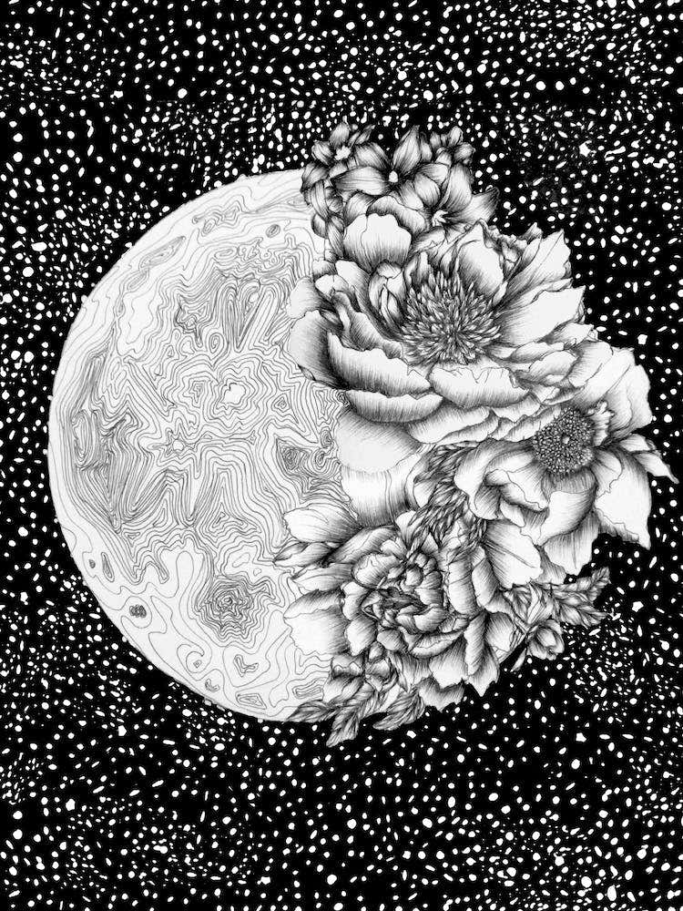 Moon Abloom