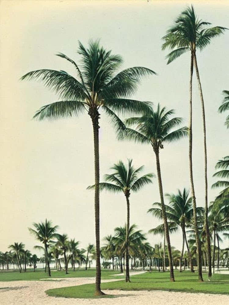 South Beach Miami Florida Vintage
