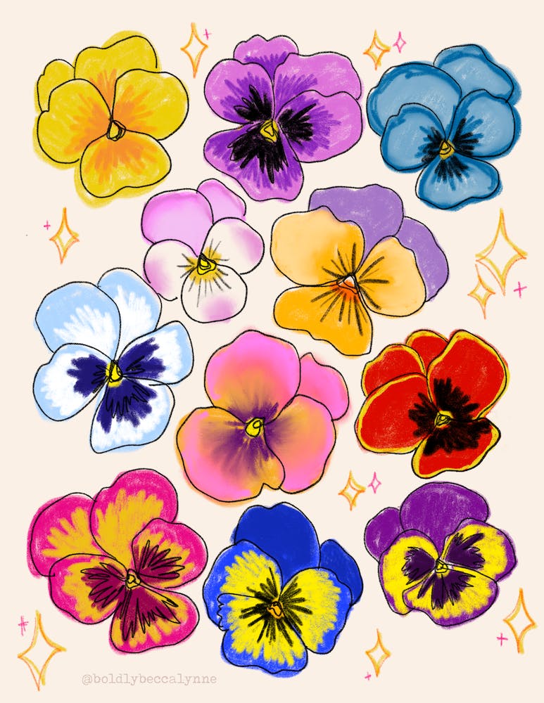 Pretty Pretty Pansies