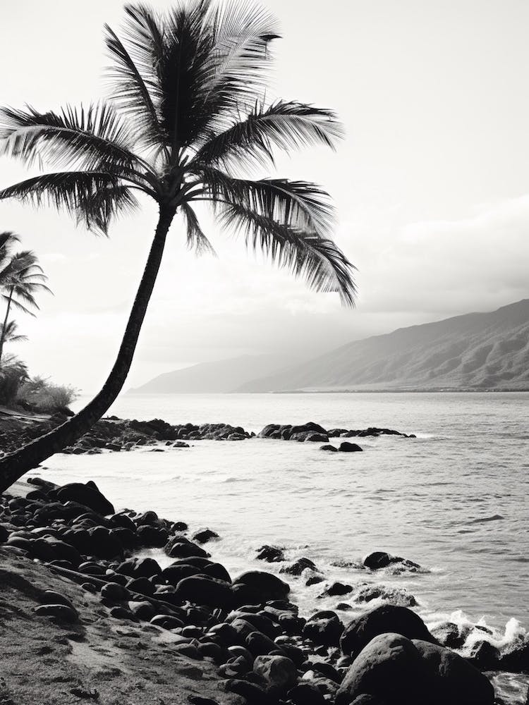 Maui, Black And White Analogue Photograph 4