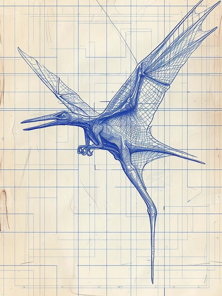 Pteranodon Dinosaur Blue Print