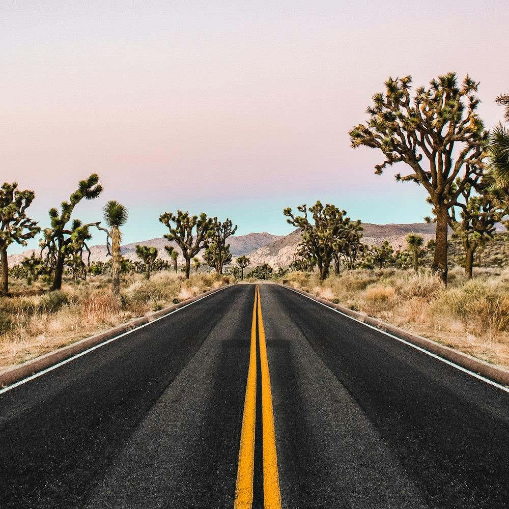 Joshua Tree National Park Sunset Square