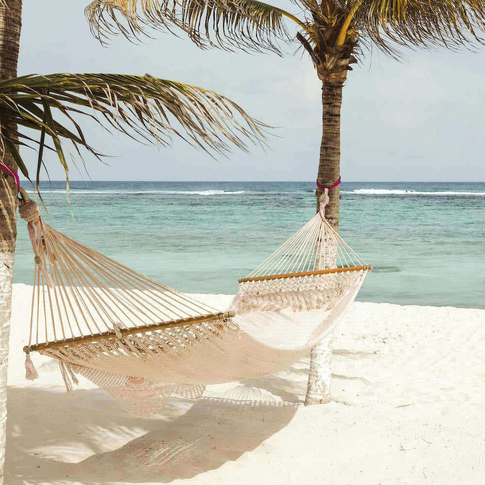 Hammock On Beach Square