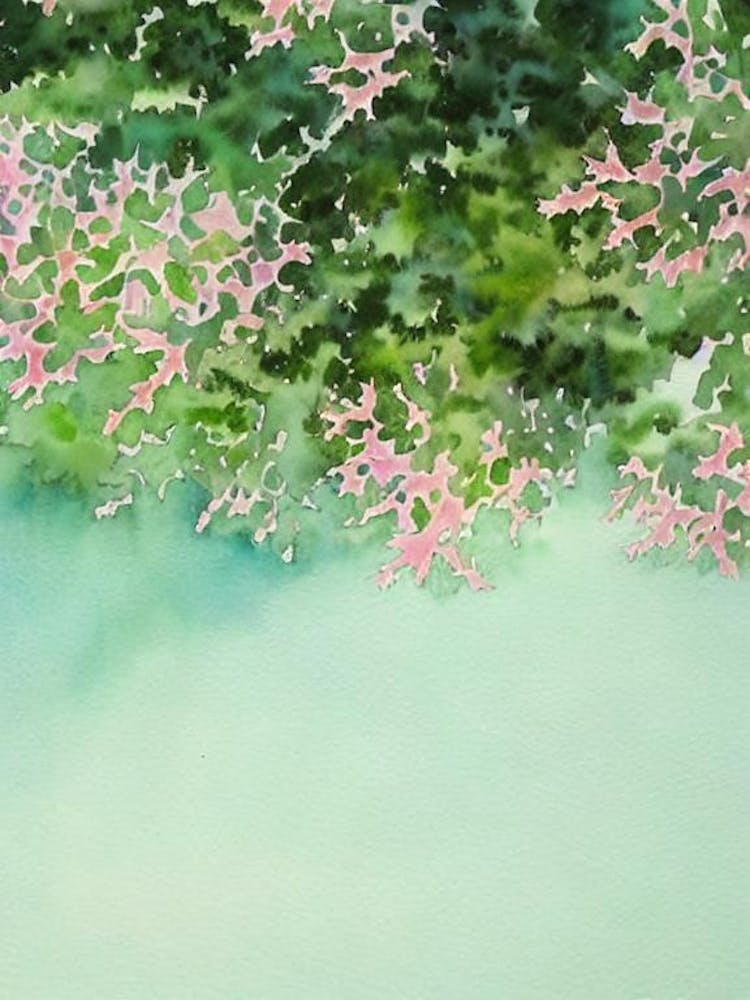 Acropora Pulchra Storybook Watercolour