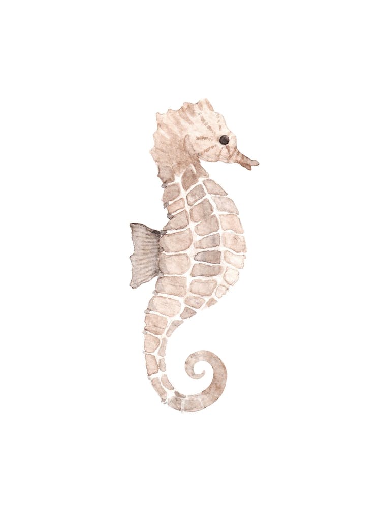 Seahorse