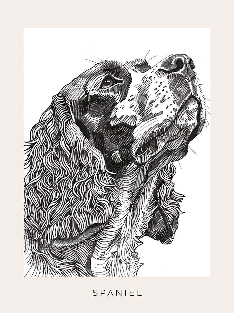 Spaniel Minimal Line Sketch Poster