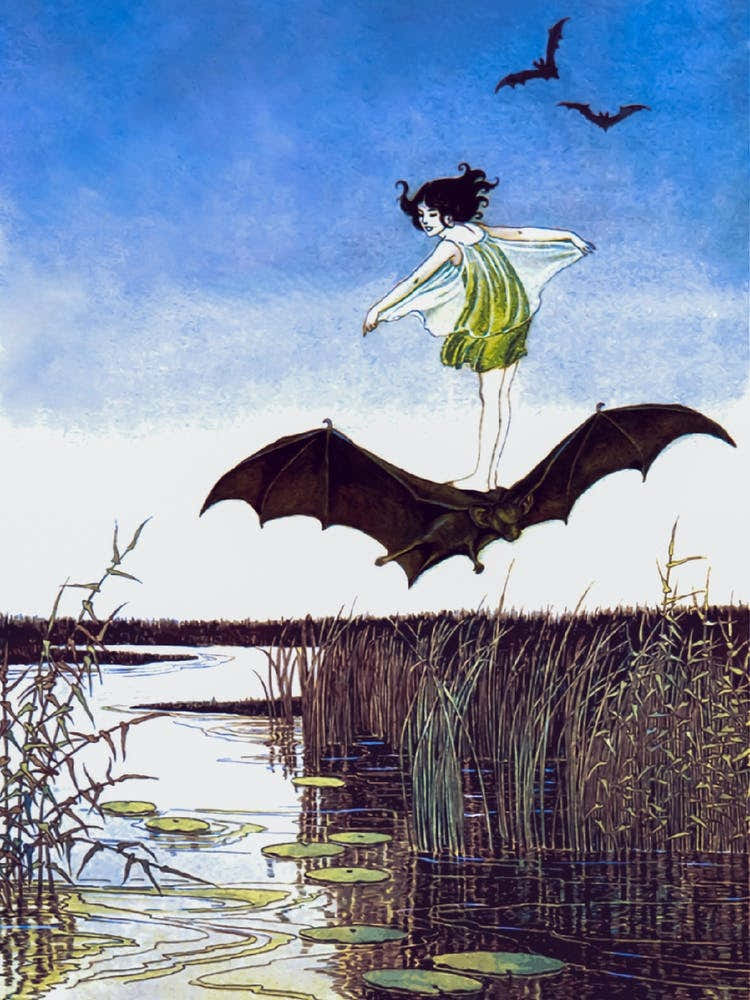 The Witch's sister on Her Black Bat - Ida Rentoul Outhwaite 1921 - Fairy Bat Girl - Witchy Fairytale Witchcore Cottagecore Fairycore Spooky Remastered Art Deco Vintage Illustration Australian