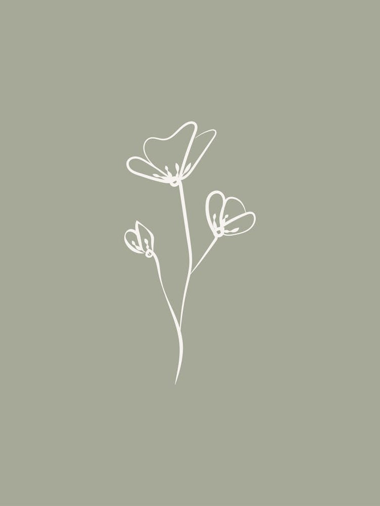 Line Art Flower 1 - Sage Green