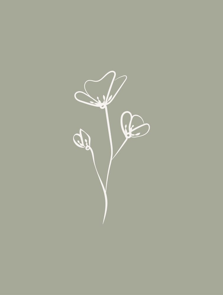 Line Art Flower 1 - Sage Green