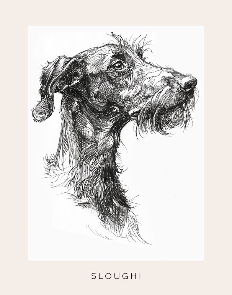 Sloughi Dog Line Sketch 1 Poster