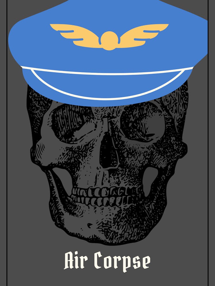 Air Force Skull