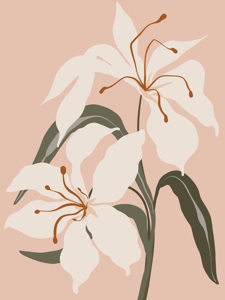 White Lilies