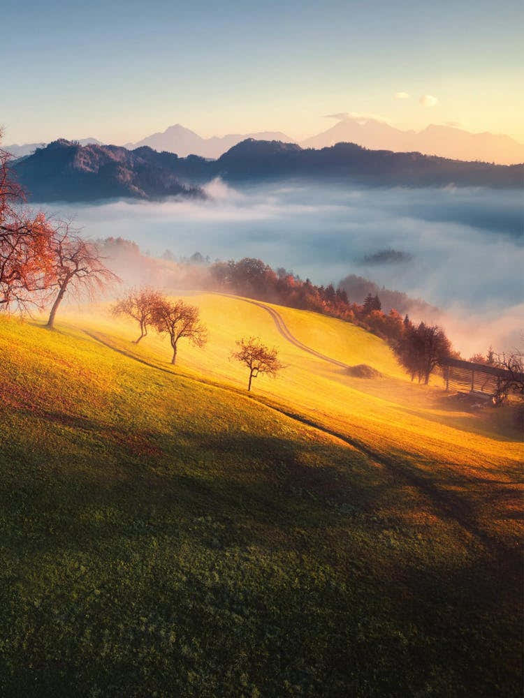 Sunrise In The Mountains