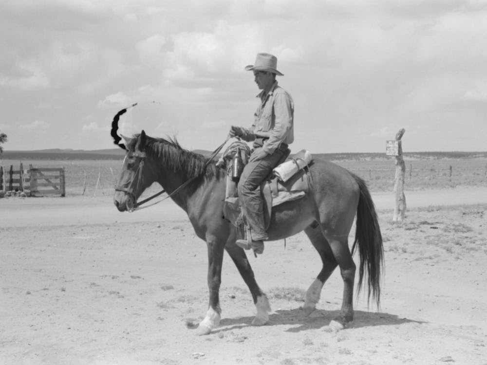Untitled Photo, Possibly Related To Cowboy With Spanish Cowpony, Pie Town, New Mexico By Russell Lee 1