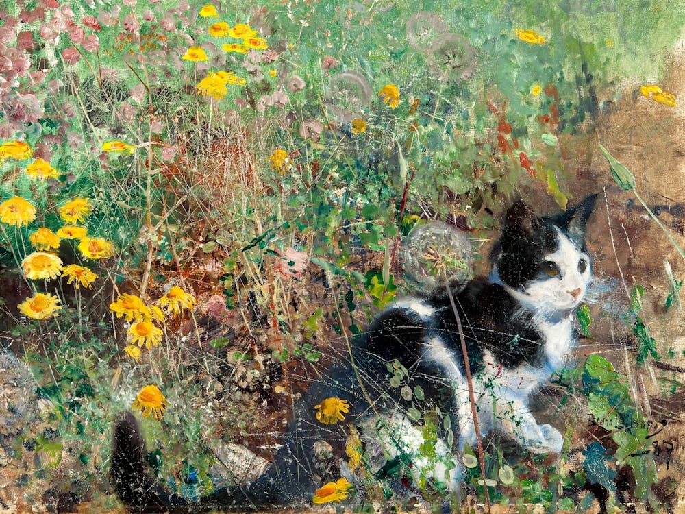 Cat on a Flowery Meadow 1887 by Bruno Liljefors HD Black and White Cat in Wildflowers